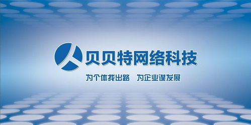 北京貝貝特網絡科技 網絡技術推廣的領航者